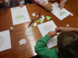 DSCN1644.jpg